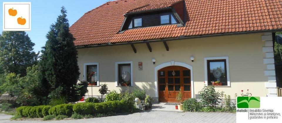 Country House Slemensek Vojnik Exteriör bild